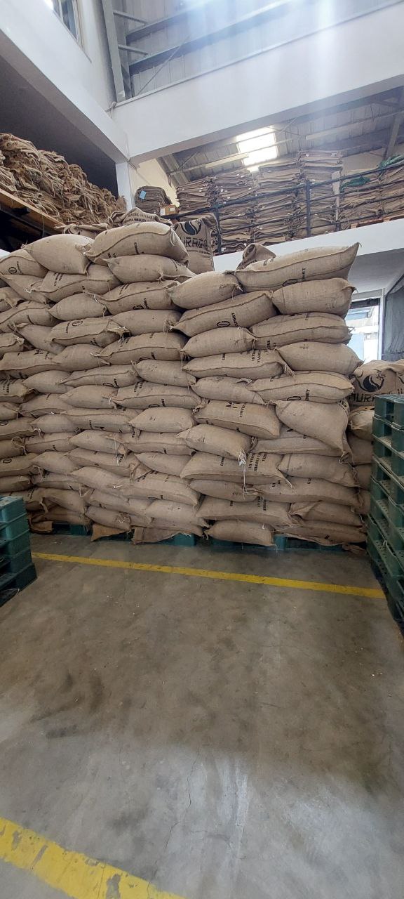 Export-Ready with Custom Packaging